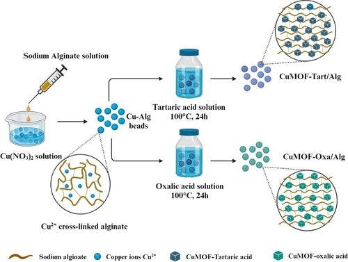 In‐situ Synthesis of Highly Potent Antibacterial Copper‐Based MOFs/Sodium Alginate Composite Beads