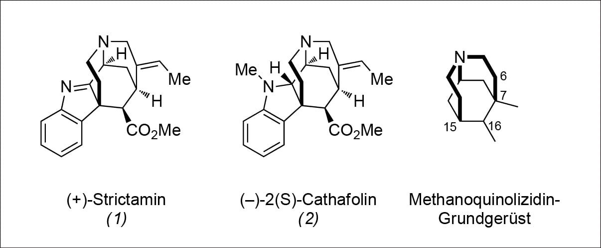 Totalsynthese von Strictamin