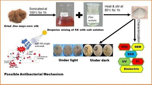 Characterization and Antimicrobial Properties of Zinc Oxide Nanoflakes Prepared Via Green Chemistry Method Using Corn Silk Extract of Zea Mays