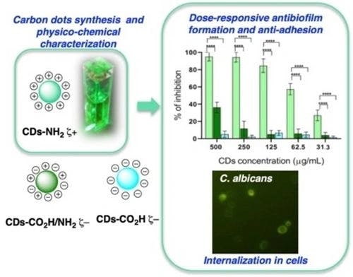 Targeting the Antifungal Activity of Carbon Dots against Candida albicans Biofilm Formation by Tailoring Their Surface Functional Groups