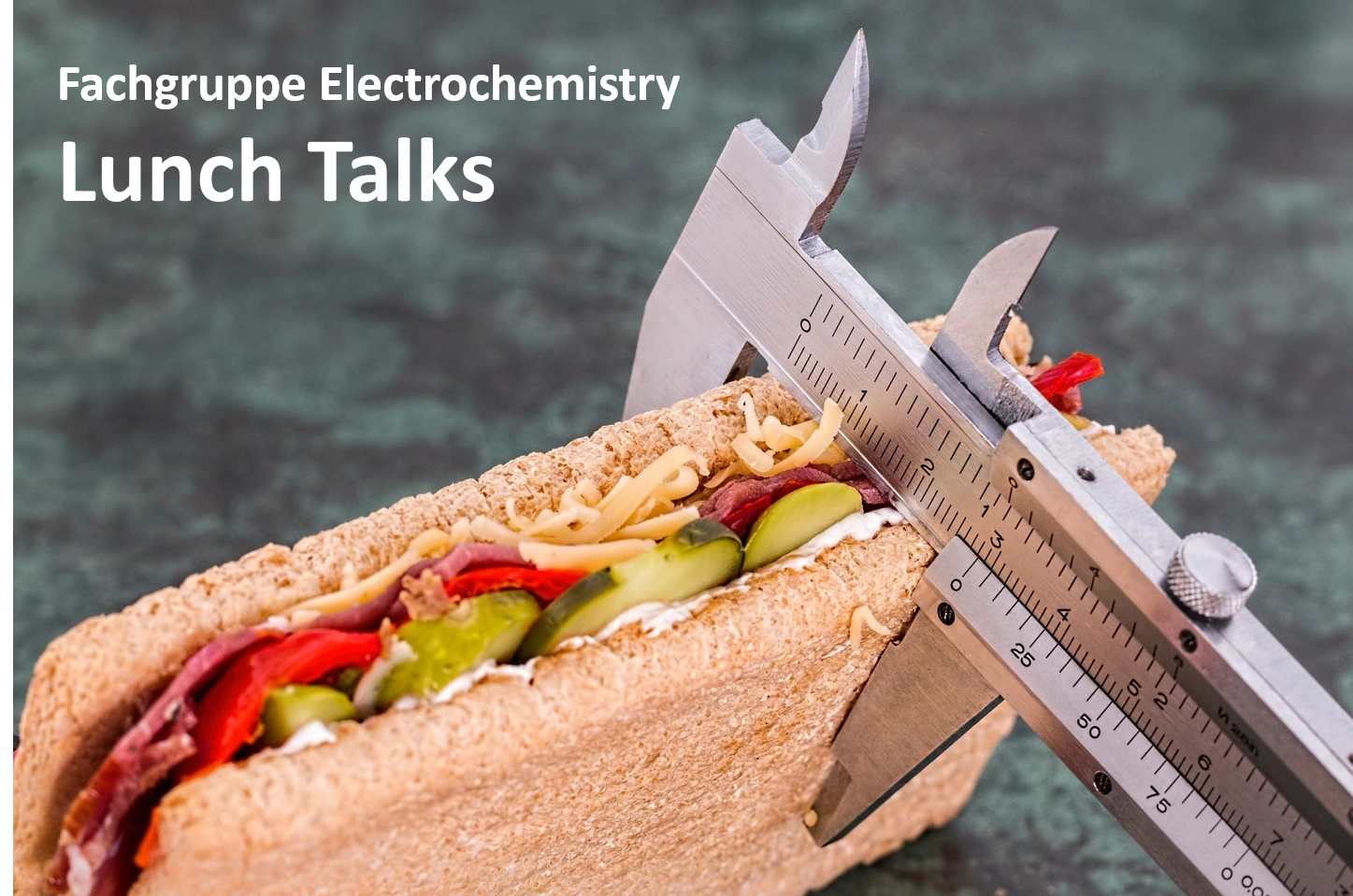 GDCh Lunch Talk Electrochemistry #8