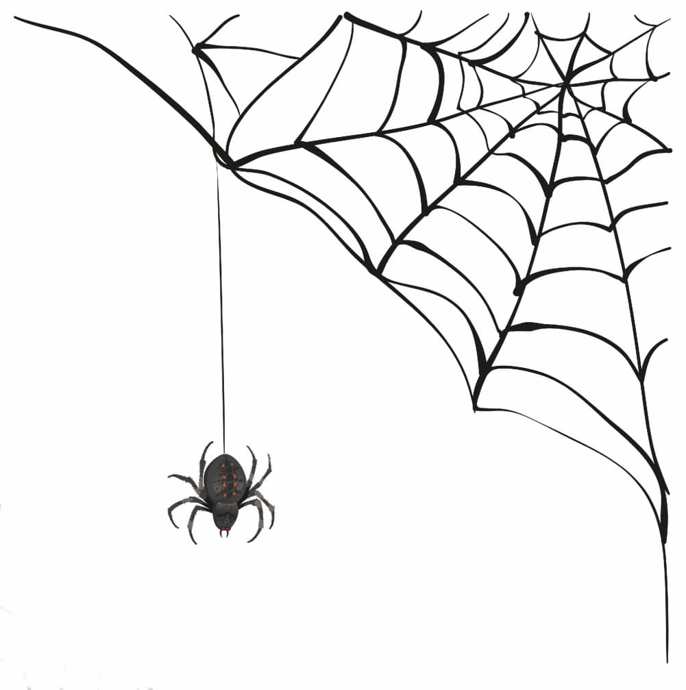 der-spinne-ins-netz-gegangen-gdch-app
