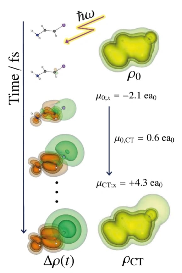 Elektronendynamiksimulation mit Wellenfunktionen für Materialanwendungen/Trendbericht Theoretische Chemie 2024 (1/3)