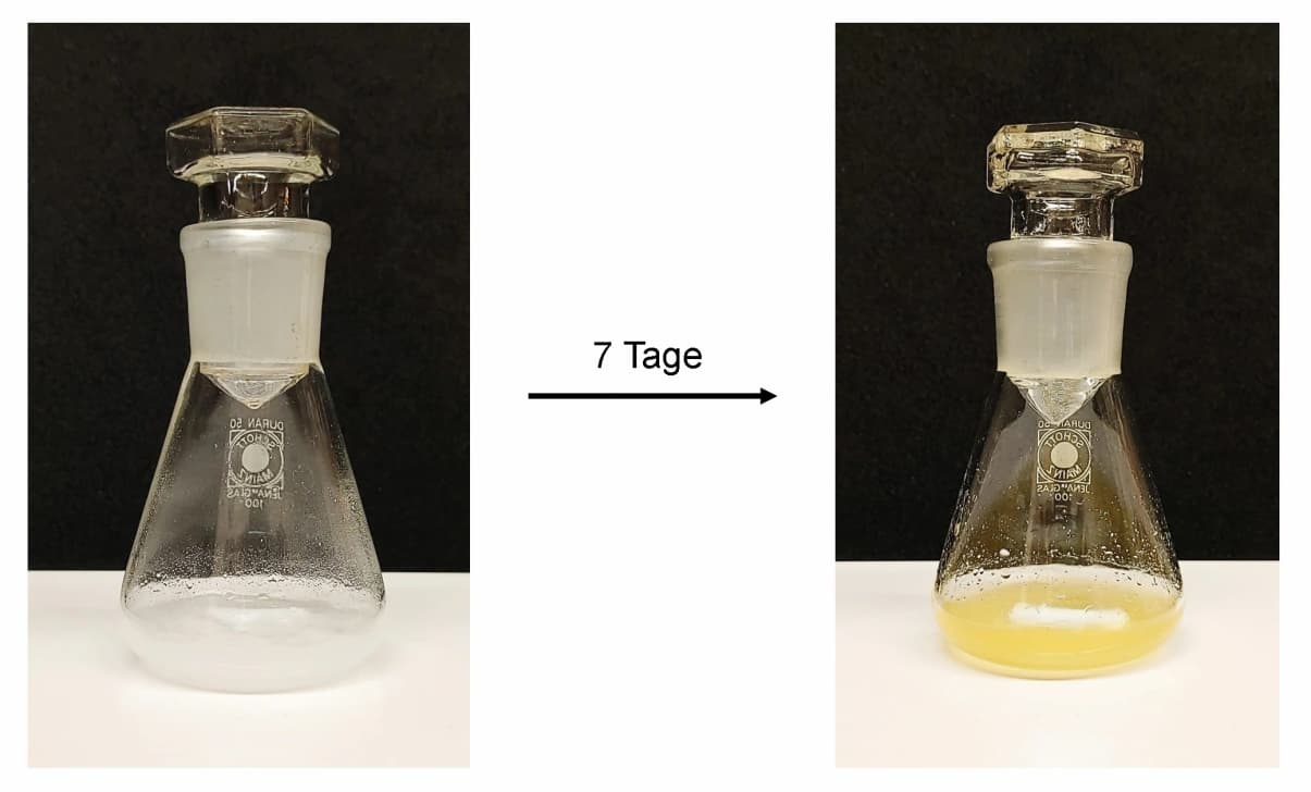 Chemiebildung – Experimentieren wie Nobelpreisträger