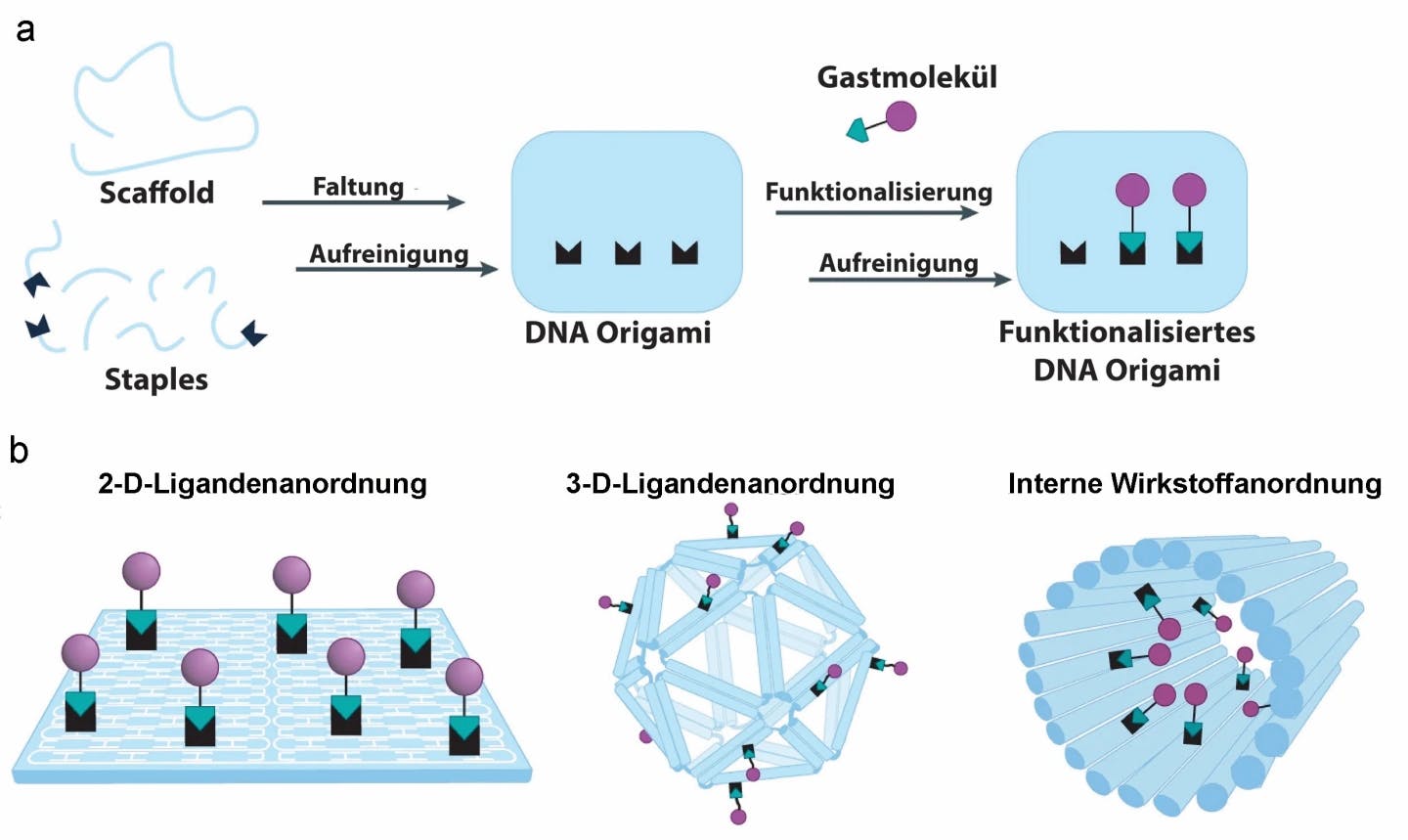 DNA‐Origami in der Biomedizin ‐ Trendbericht Biochemie 2024 (3/3)