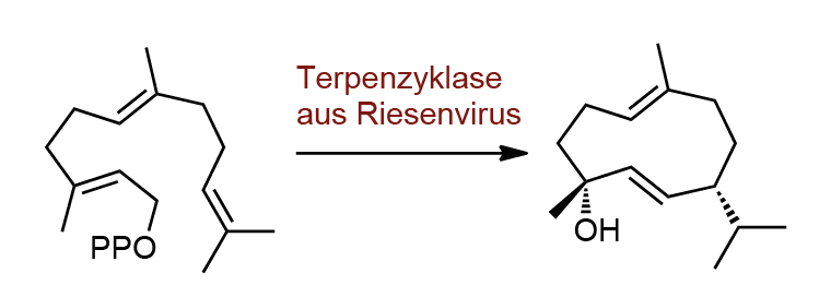 https://eu-central-1.graphassets.com/Aype6X9u2QGewIgZKbFflz/CZixLA9vSYWKLSnmQ8xn