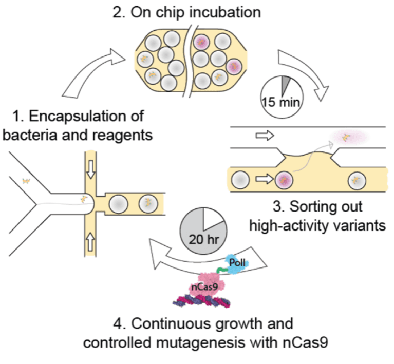 https://eu-central-1.graphassets.com/Aype6X9u2QGewIgZKbFflz/ajrxnZL8QfGUqqD5RxXP