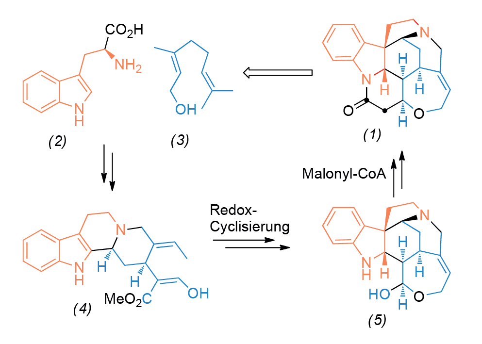 https://eu-central-1.graphassets.com/Aype6X9u2QGewIgZKbFflz/iSTwEQ9tT3Ov0oLdWZQA