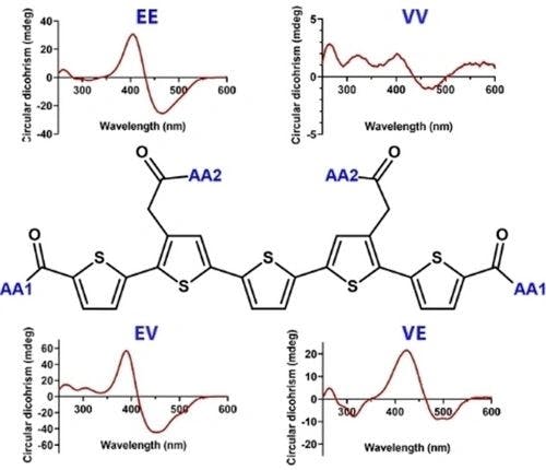 Amino‐Acid Side‐Chain Nanoarchitectonics for Tuning the Chiroptical Properties and Supramolecular Structure of Pentameric Oligothiophenes