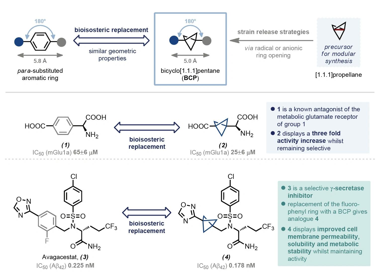 Bioisosteres of meta‐substituted benzenes