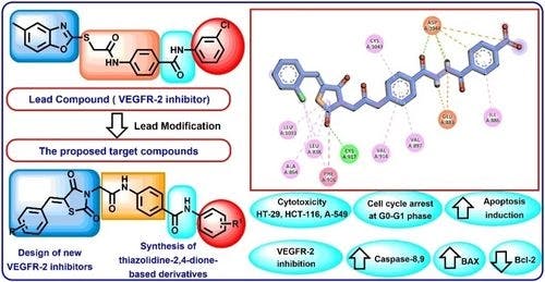Novel Thiazolidine‐2,4‐Dione Derivatives as Potential VEGFR‐2 Inhibitors: Synthesis, Biological Testing, and in Silico Studies