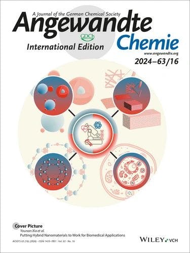 Cover Picture: Putting Hybrid Nanomaterials to Work for Biomedical Applications (Angew. Chem. Int. Ed. 16/2024)