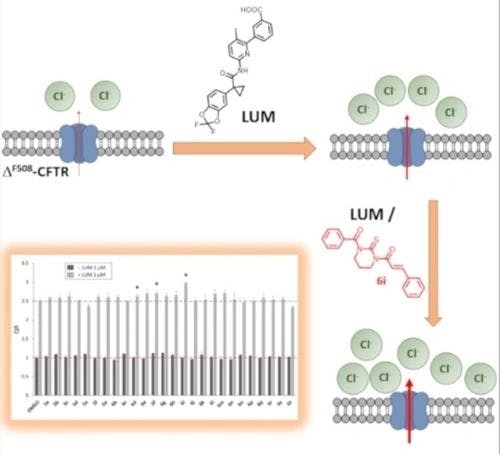 Cyclic diacyl thioureas enhance activity of corrector Lumacaftor on F508del‐CFTR