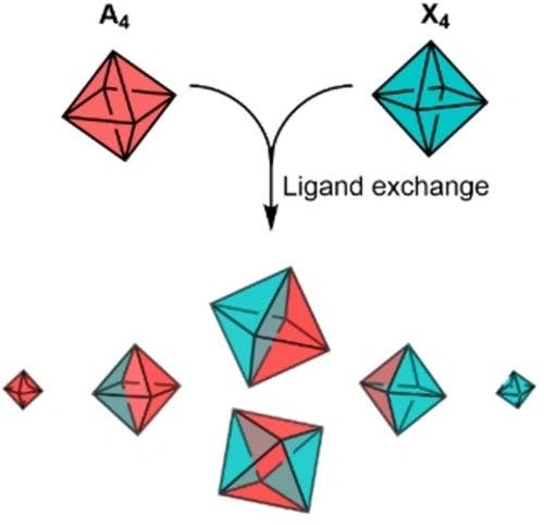 Stabilization of Lantern‐Type Metal‐Organic Cages (MOCs) by Protective Control of Ligand Exchange Rates