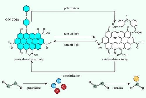 Photo‐Switchable Peroxidase/Catalase‐Like Activity of Carbon Quantum Dots