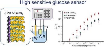 Highly sensitive glucose electrochemical sensor using sugar‐lectin interactions