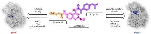 Compounds Consisting of Quinazoline, Ibuprofen, and Amino Acids with Cytotoxic and Anti‐Inflammatory Effects