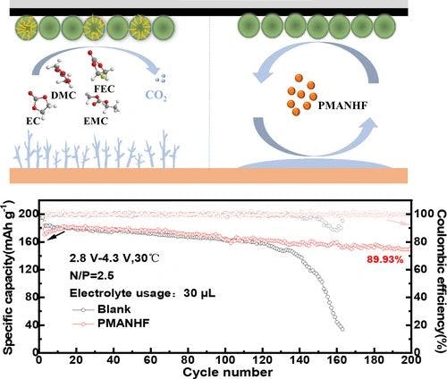 Constructing the Polymer Molecules to Regulate the Electrode/Electrolyte Interface to Enhance Lithium‐Metal Battery Performance