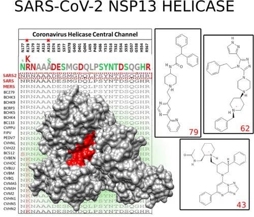 Identification of Potential Inhibitors of the SARS‐CoV‐2 NSP13 Helicase via Structure‐Based Ligand Design, Molecular Docking and Nonequilibrium Alchemical Simulations