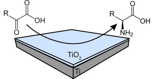 Alanine Formation in a Zero‐Gap Flow Cell and the Role of TiO2/Ti Electrocatalysts