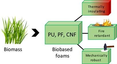 Recent Developments in Biobased Foams and Foam Composites for Construction Applications