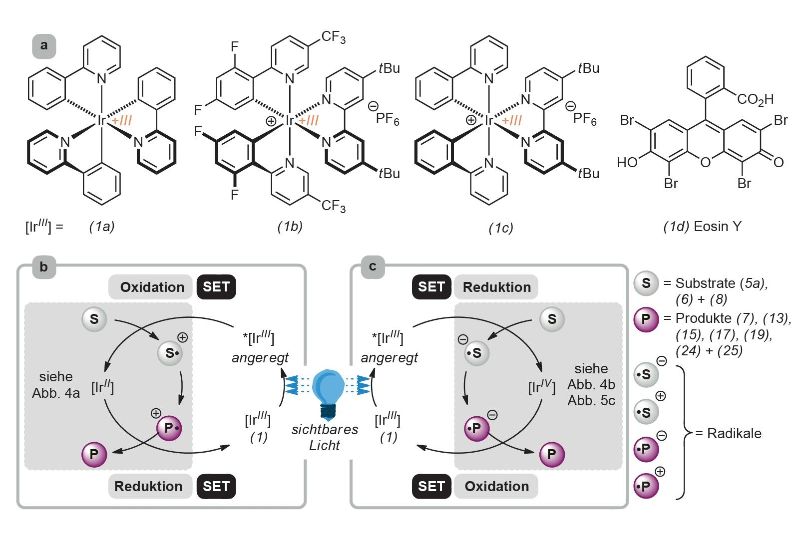 Radikale durch Licht – molekularer Baukasten für komplexe Moleküle