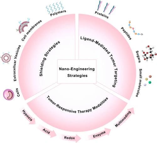 Nano‐Engineering Strategies for Tumor‐Specific Therapy