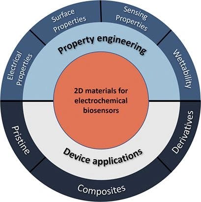 Two‐Dimensional Materials Integrated in Electrochemical Biosensors for Virus Detection: Property Engineering Strategies and Device Applications