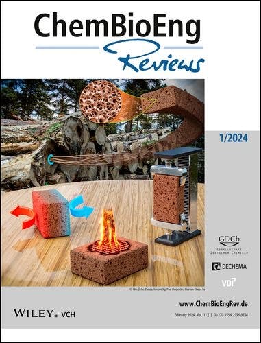 Cover Picture: ChemBioEng Reviews 1/2024