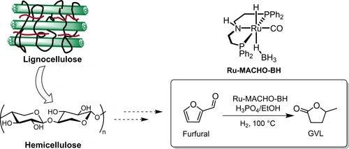 Homogeneous Catalyzed Direct Conversion of Furfural to Gamma‐Valerolactone