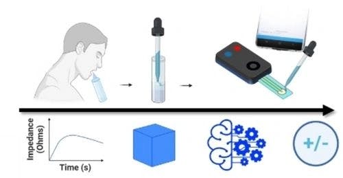 High‐Precision Viral Detection Using Electrochemical Kinetic Profiling of Aptamer‐Antigen Recognition in Clinical Samples and Machine Learning