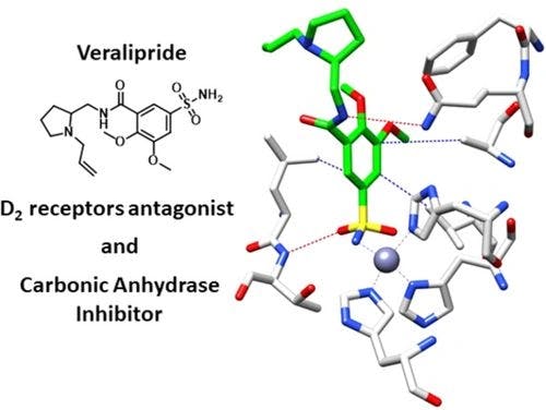 The dopamine D2 receptors antagonist Veralipride inhibits carbonic anhydrases: solution and crystallographic insights on human isoforms