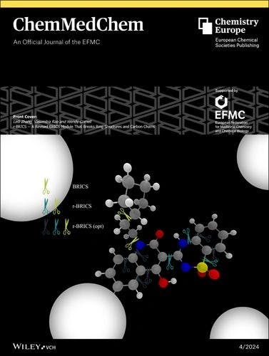 Front Cover: r‐BRICS – A Revised BRICS Module That Breaks Ring Structures and Carbon Chains (ChemMedChem 4/2024)