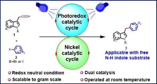 Merging Photoredox with Nickel Catalysis for Decarboxylative Arylation of Indole‐3‐Acetic Acids with Aryl Halides