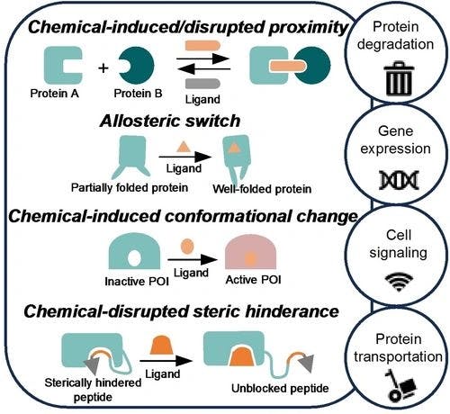 Chemogenetic Tools in Focus: Proximity, Conformation, and Sterics