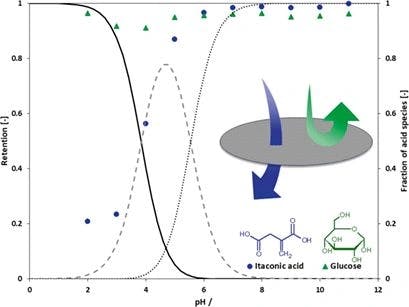 Separation of Biobased Carboxylic Acids by Aqueous Phase Nanofiltration