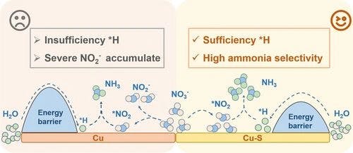 Sulphur‐Boosted Active Hydrogen on Copper for Enhanced Electrocatalytic Nitrate‐to‐Ammonia Selectivity