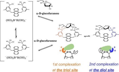 Detailed Reaction Mechanism of Anthracene‐Bridged bis‐(3‐Pyridiniumboronic Acid) Chemosensor with D‐Glucose