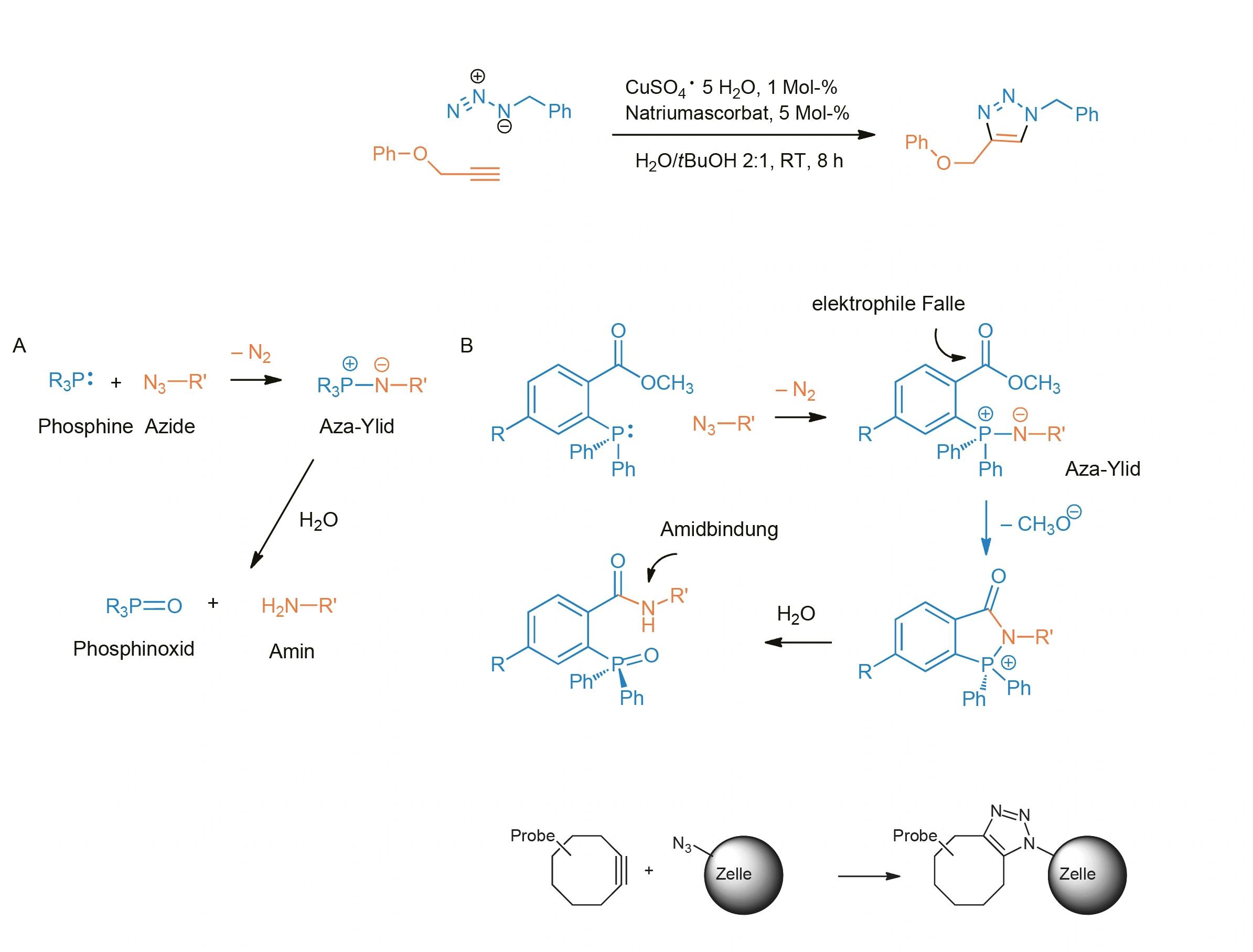 Einfach Moleküle verknüpfen – egal wie komplex