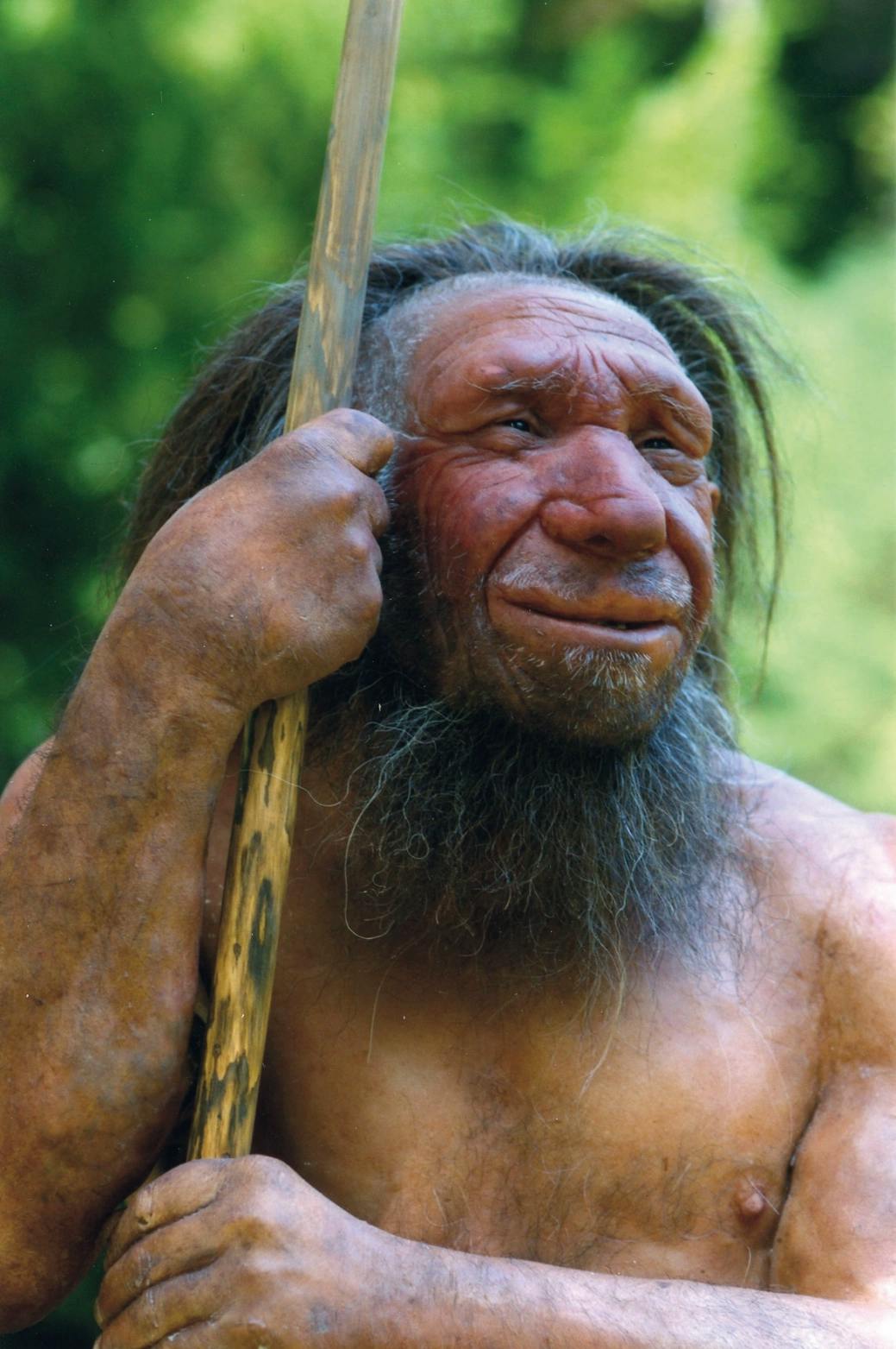 Der Neandertaler in uns