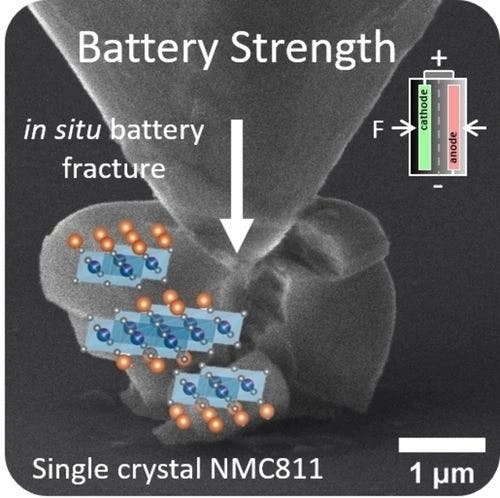 In Situ Fracture Behavior of Single Crystal LiNi0.8Mn0.1Co0.1O2 (NMC811)
