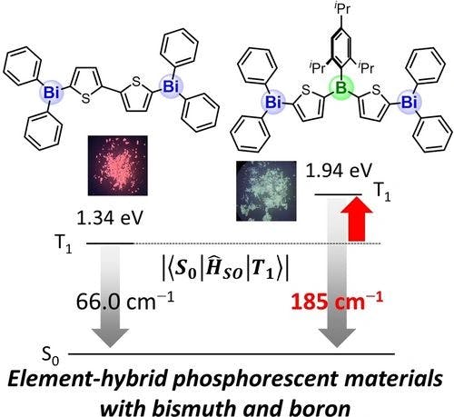 Phosphorescence Properties of Boron/Bismuth Hybrid Conjugated Materials