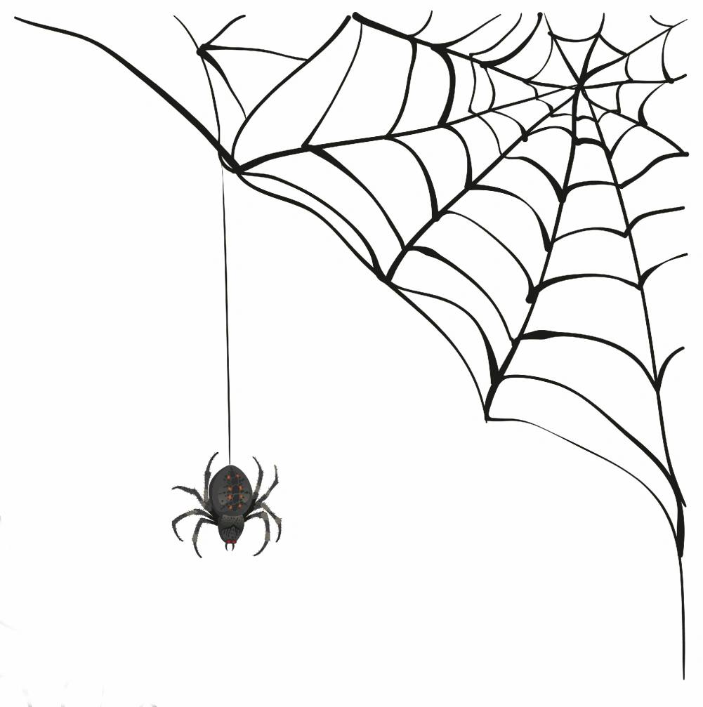 Der Spinne ins Netz gegangen
