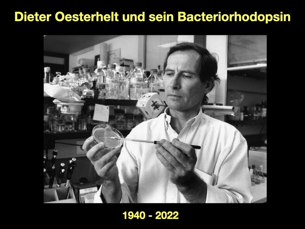Dieter Oesterhelt (1940-2022) und sein Bacteriorhodopsin