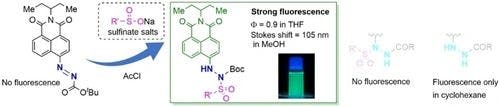 Synthesis of Naphthalimide Azocarboxylates Showing Turn‐On Fluorescence by Substitution Reaction with Sulfinates
