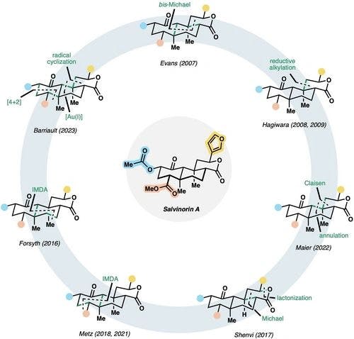 An Overview of Syntheses of Salvinorin A and its Analogues