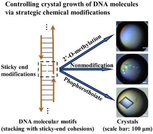 Controlling the Crystal Growth of DNA Molecules via Strategic Chemical Modifications