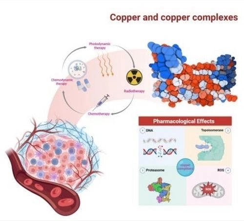 Copper and Copper Complexes in Tumor Therapy