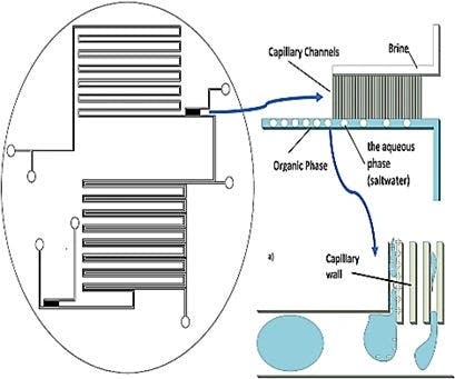 Microfluidic Approaches in Water Quality Monitoring: An Insight and a Comprehensive Review
