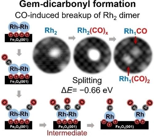 CO‐Induced Dimer Decay Responsible for Gem‐Dicarbonyl Formation on a Model Single‐Atom Catalyst